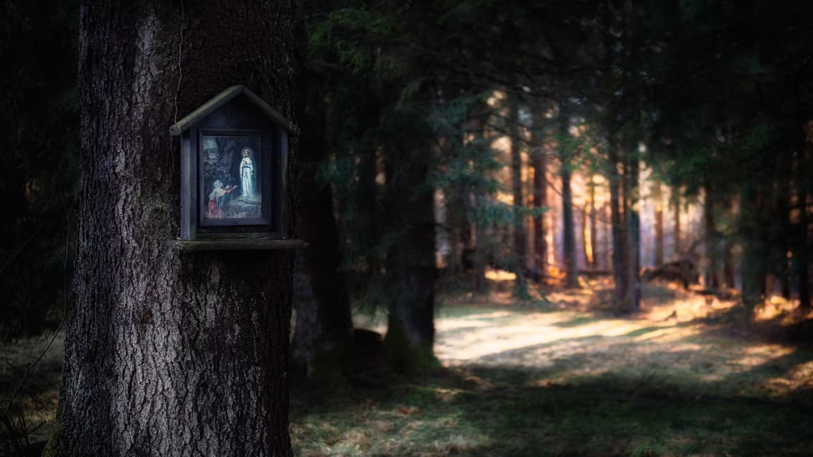 photo-1528443901122-581bb8c65efd_original